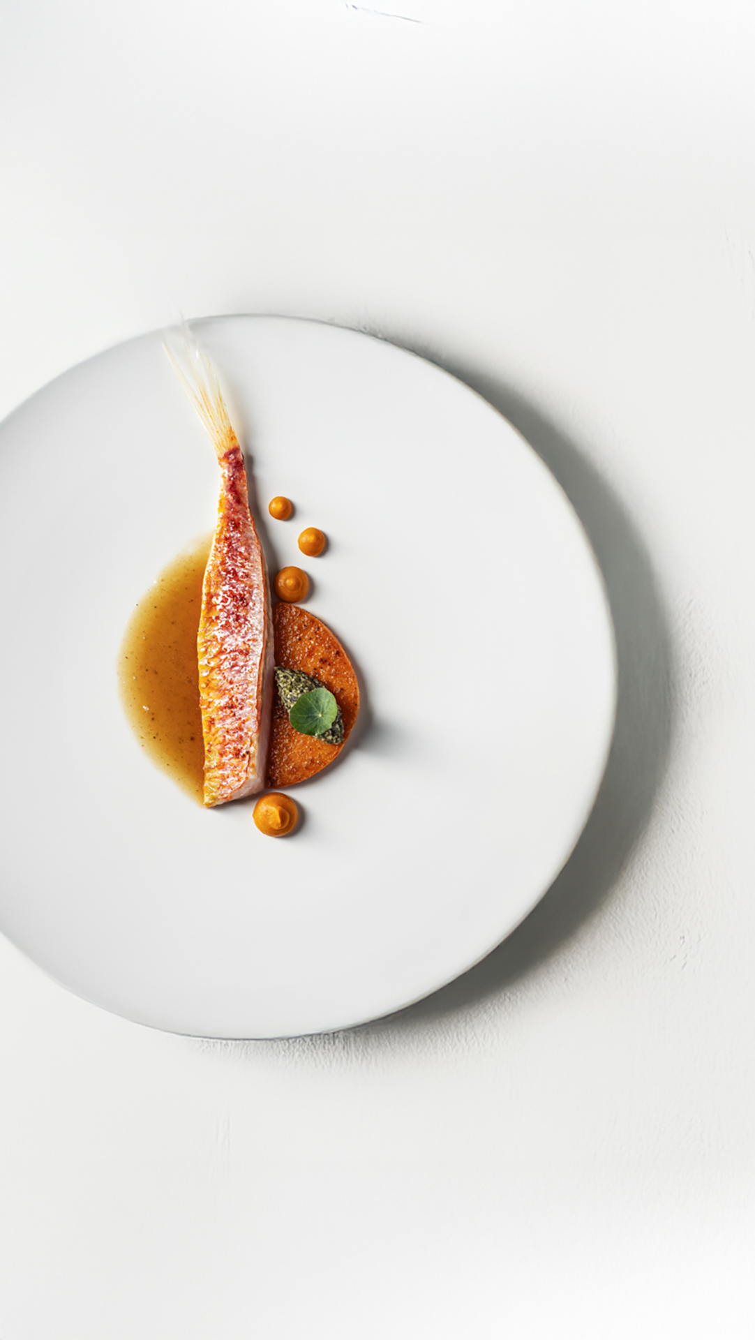 Fine-Dine-Foodfotografie-2-9x16-Steph-Studio-Werbefotografie