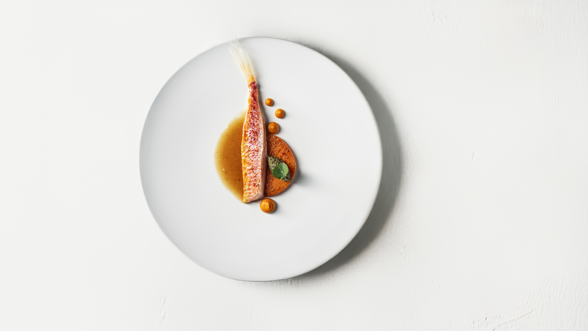 Fine-Dine-Foodfotografie-2-Steph-Studio-Werbefotografie.jpg